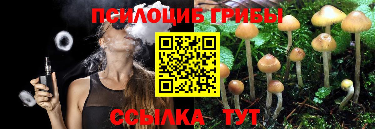 Галлюциногенные грибы MAGIC MUSHROOMS  Вход с VPN  Чебоксары  Псилоцибиновые грибы мухоморы 